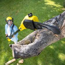 Pest Control for Lawns in Nyssa, OR